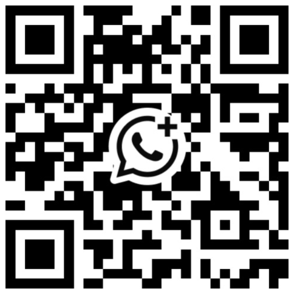 DragonARK IT WhatsApp 二维码